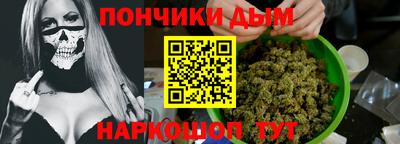 крисы Мирный