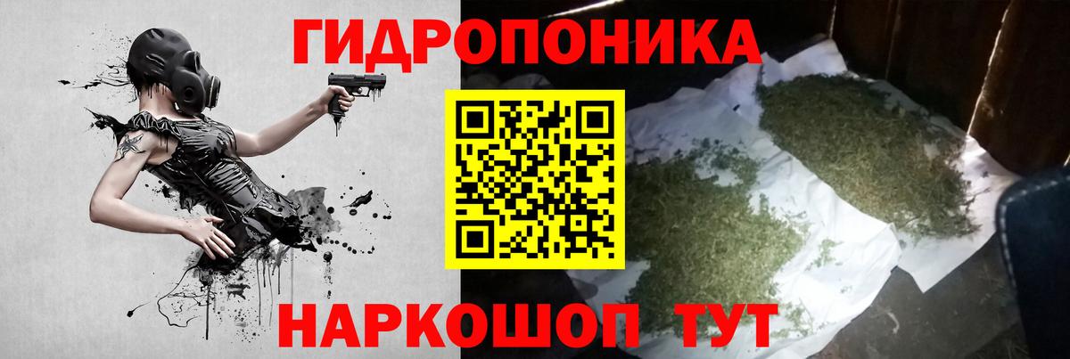 Шишки марихуана планчик Бийск
